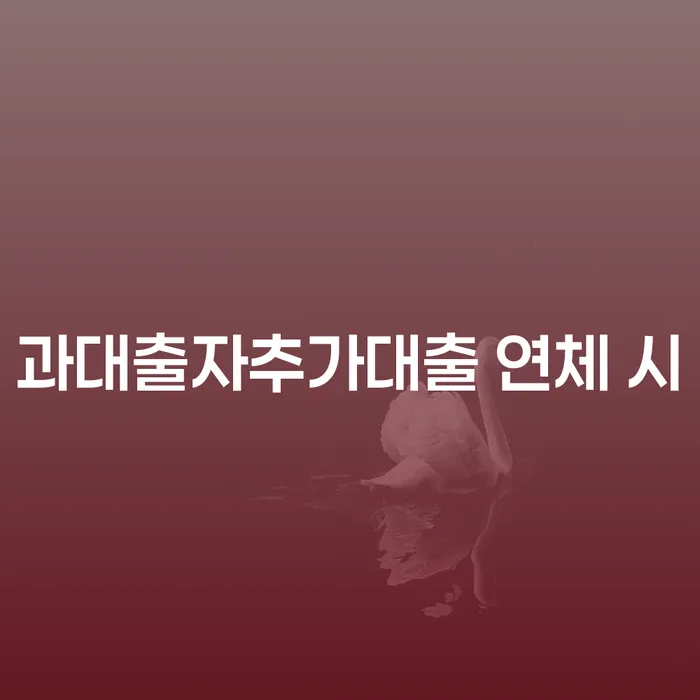제주도 채무조정신청 개인회생,개인파산으로 잘 하는 사무소
