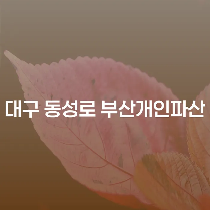 대구 동성로 부산개인파산과 함께하는 새로운 시작, 어떻게 가능할까요?